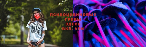 МДМА Богданович