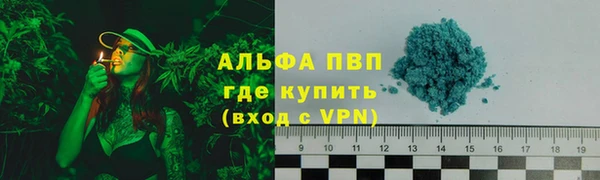 ПСИЛОЦИБИНОВЫЕ ГРИБЫ Белокуриха