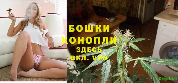 ПСИЛОЦИБИНОВЫЕ ГРИБЫ Белокуриха